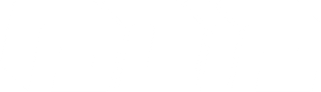 Flip Logo